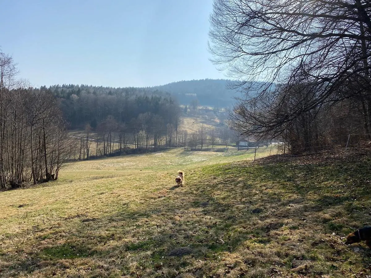Apartment Gartenwohnung Im Gut Sonnenwald Schollnach Germany