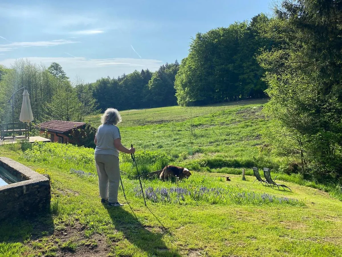 Gartenwohnung Im Gut Sonnenwald Schöllnach Appartement